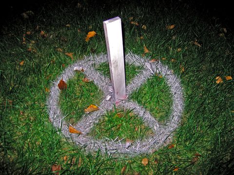 sign(ifiers)(becoming signs), 2006-07