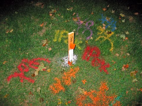 sign(ifiers)(becoming signs), 2006-07