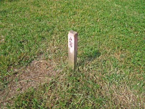 sign(ifiers)(becoming signs), 2006-07
