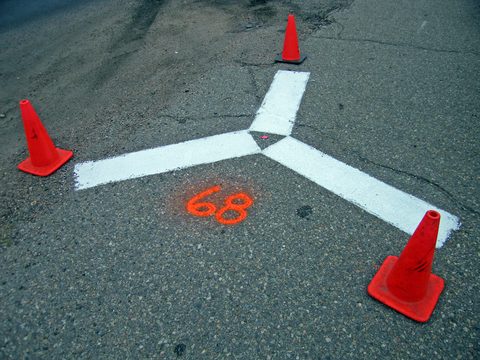 sign(ifiers)(becoming signs), 2006-07